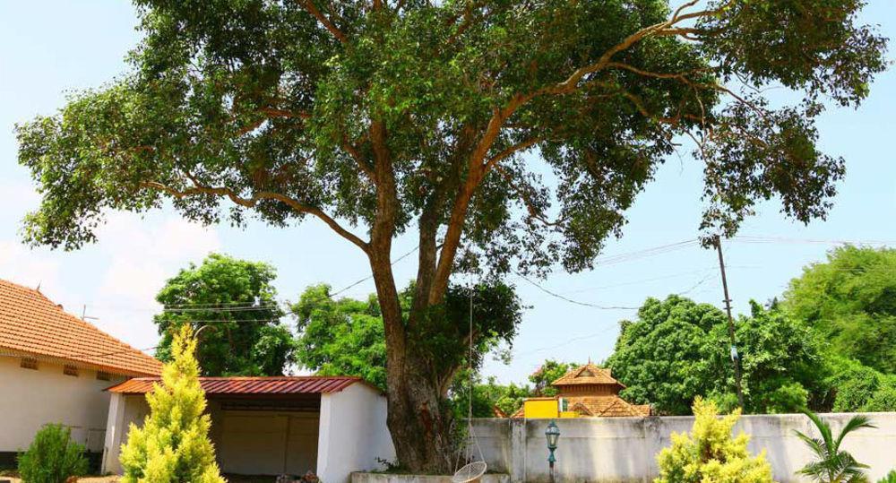 Baywatch Beach Resort Alappuzha المظهر الخارجي الصورة